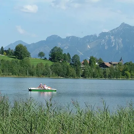 拜德法勒巴赫酒店 3*