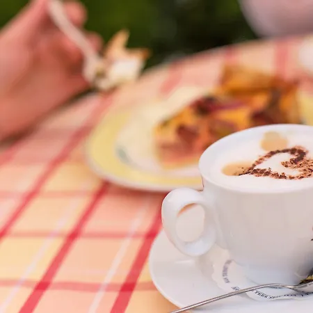 拜德法勒巴赫酒店 酒店