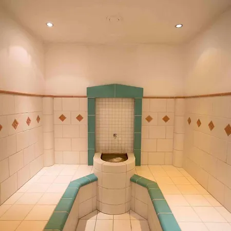 Hotel Parkhotel Bad Faulenbach 3*